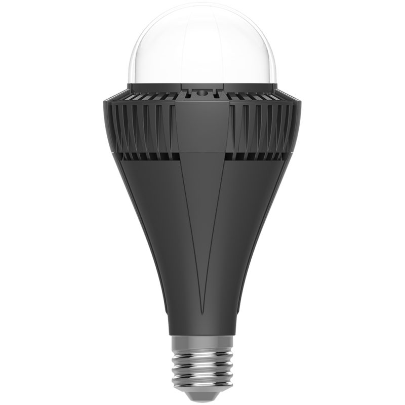 (DISCONTINUED) BX series LED Light Bulbs PacLights