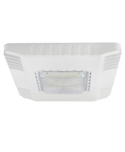 Canopy Light Fixture