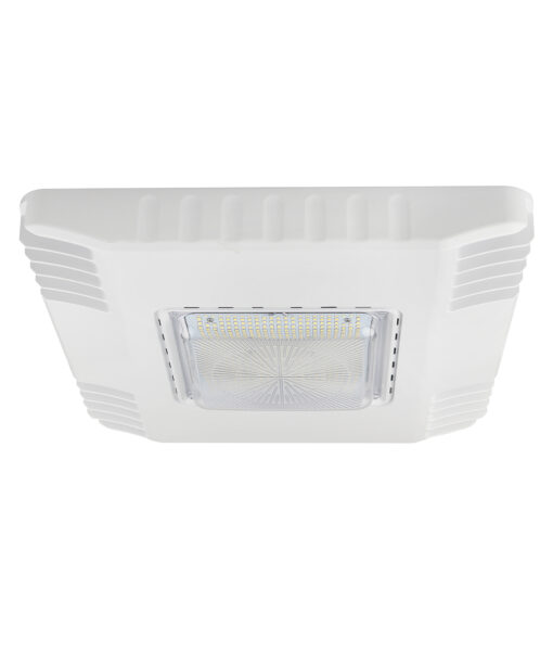 Canopy Light Fixture
