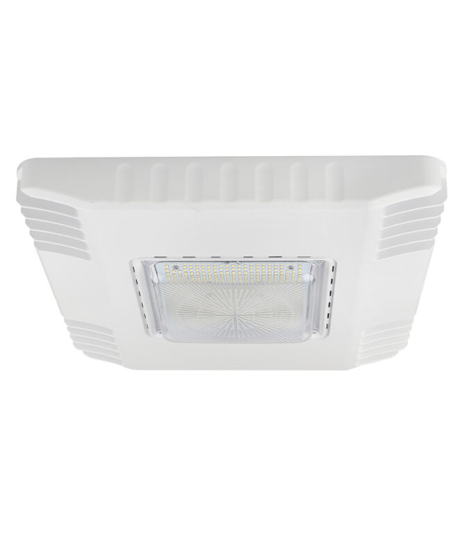 Canopy Light Fixture