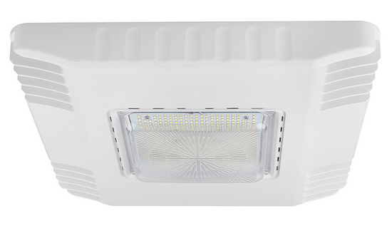 Canopy Light Fixture